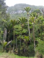 Albums/20060200-New Zealand 2006/20060205-Greymouth_Punakaiki/32